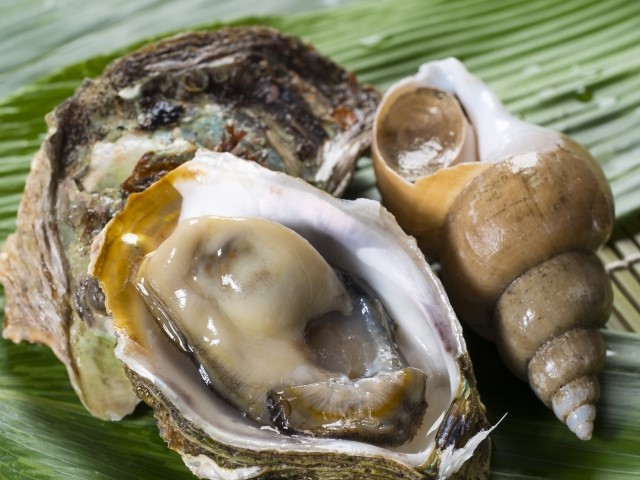 ご存知ですか 江東区内の食中毒件数 江東区南砂と塩浜の成竹鍼灸整骨院 東砂の東洋堂鍼灸整骨院
