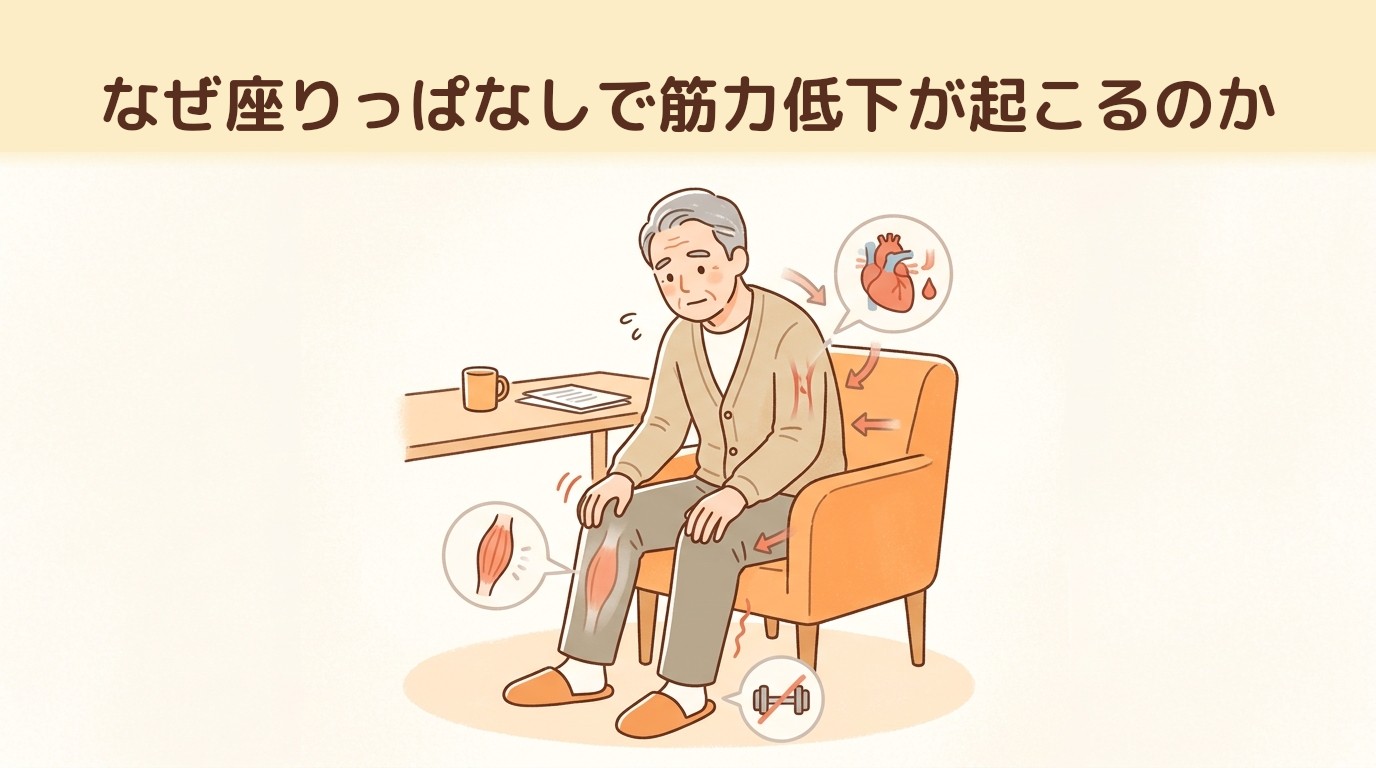 なぜ座りっぱなしで筋力低下が起こるのか