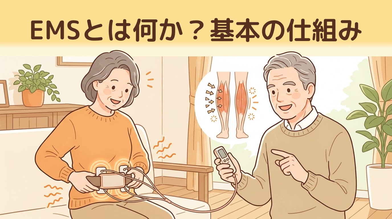EMSとは何か?基本の仕組み