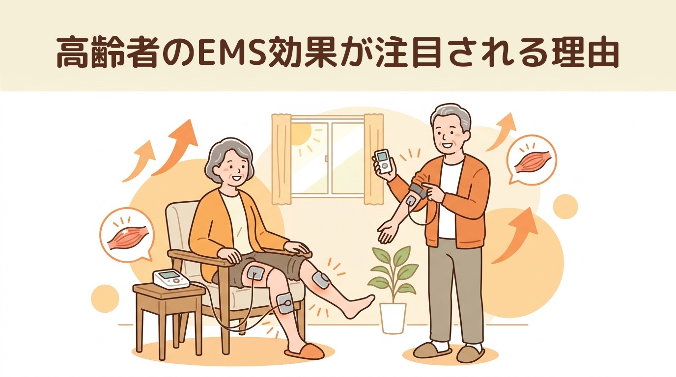 高齢者のEMS効果が注目される理由