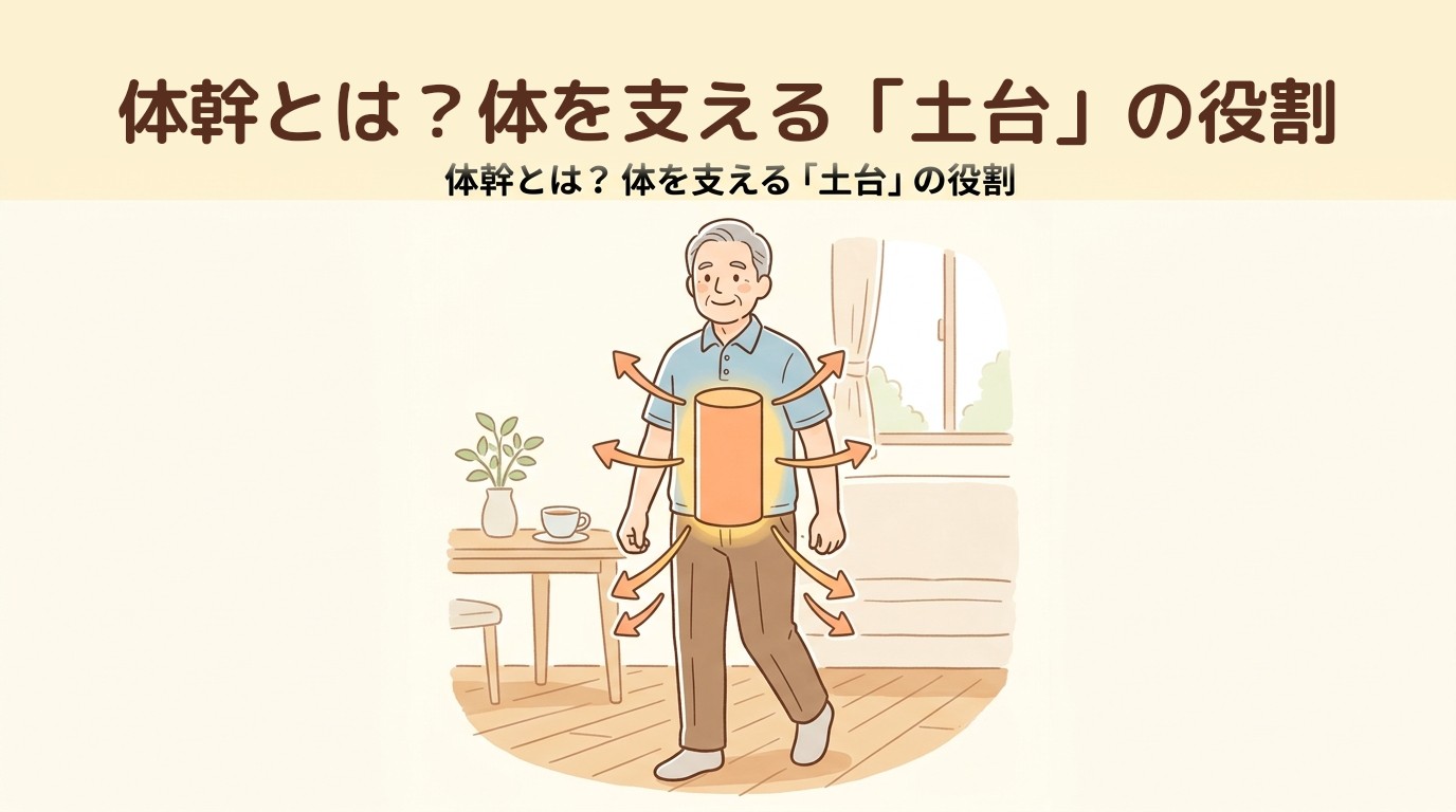 体幹とは?体を支える「土台」の役割