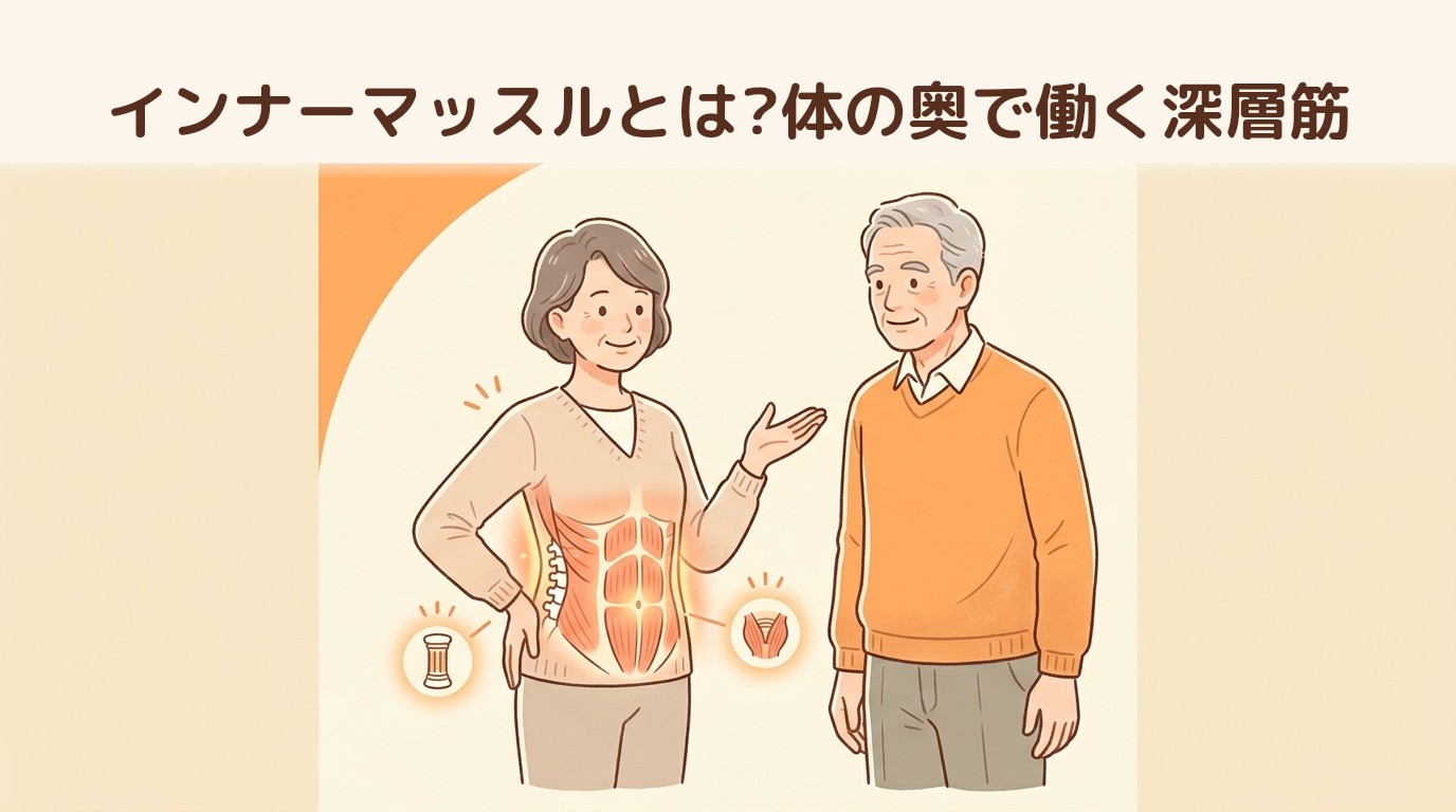 インナーマッスルとは?体の奥で働く深層筋