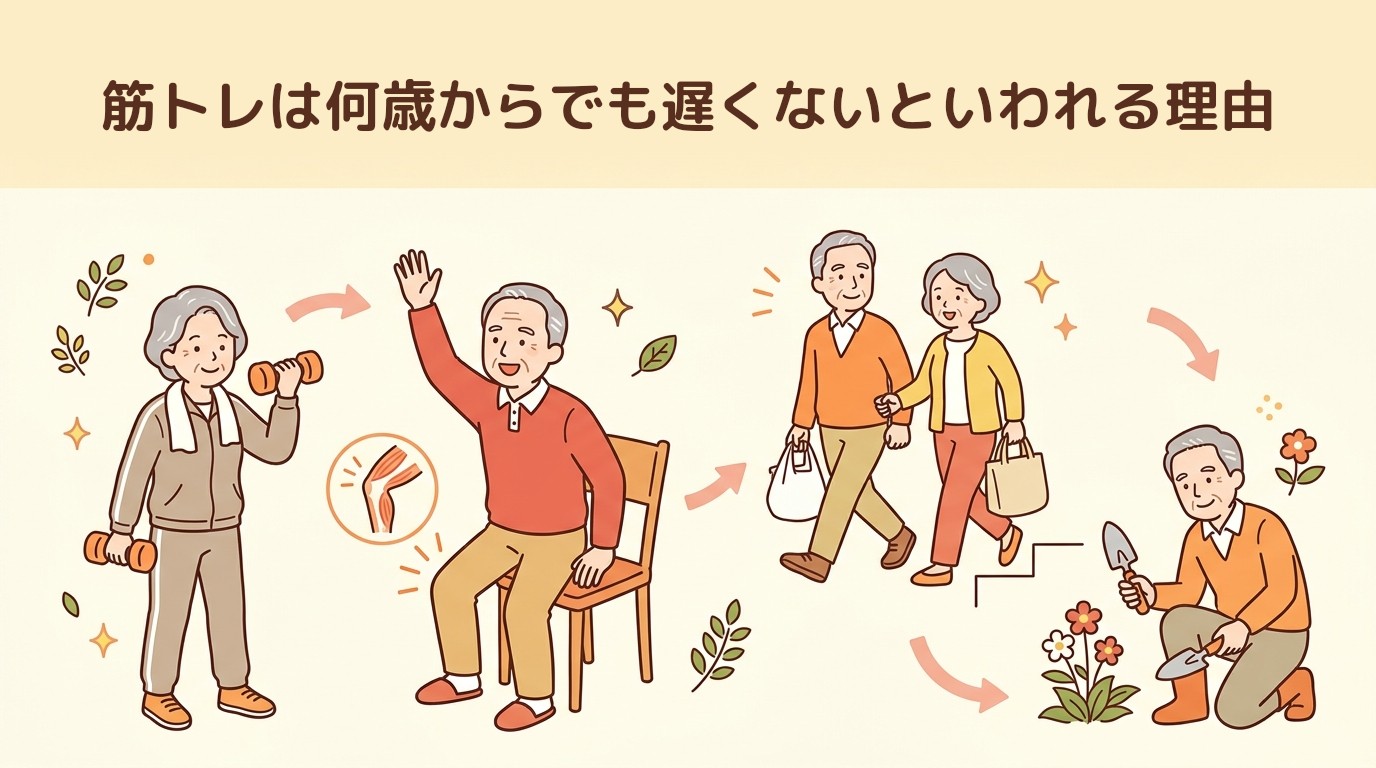 筋トレは何歳からでも遅くないといわれる理由