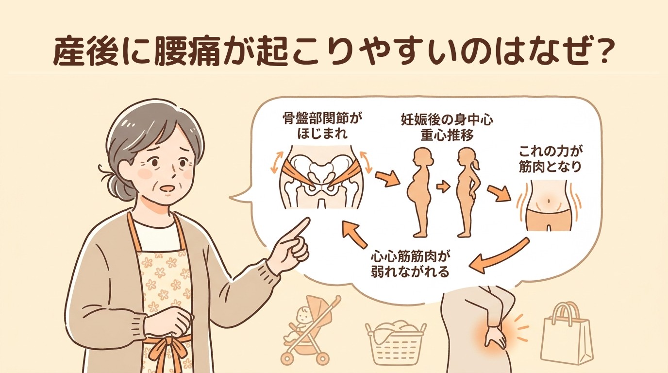 産後に腰痛が起こりやすいのはなぜ?