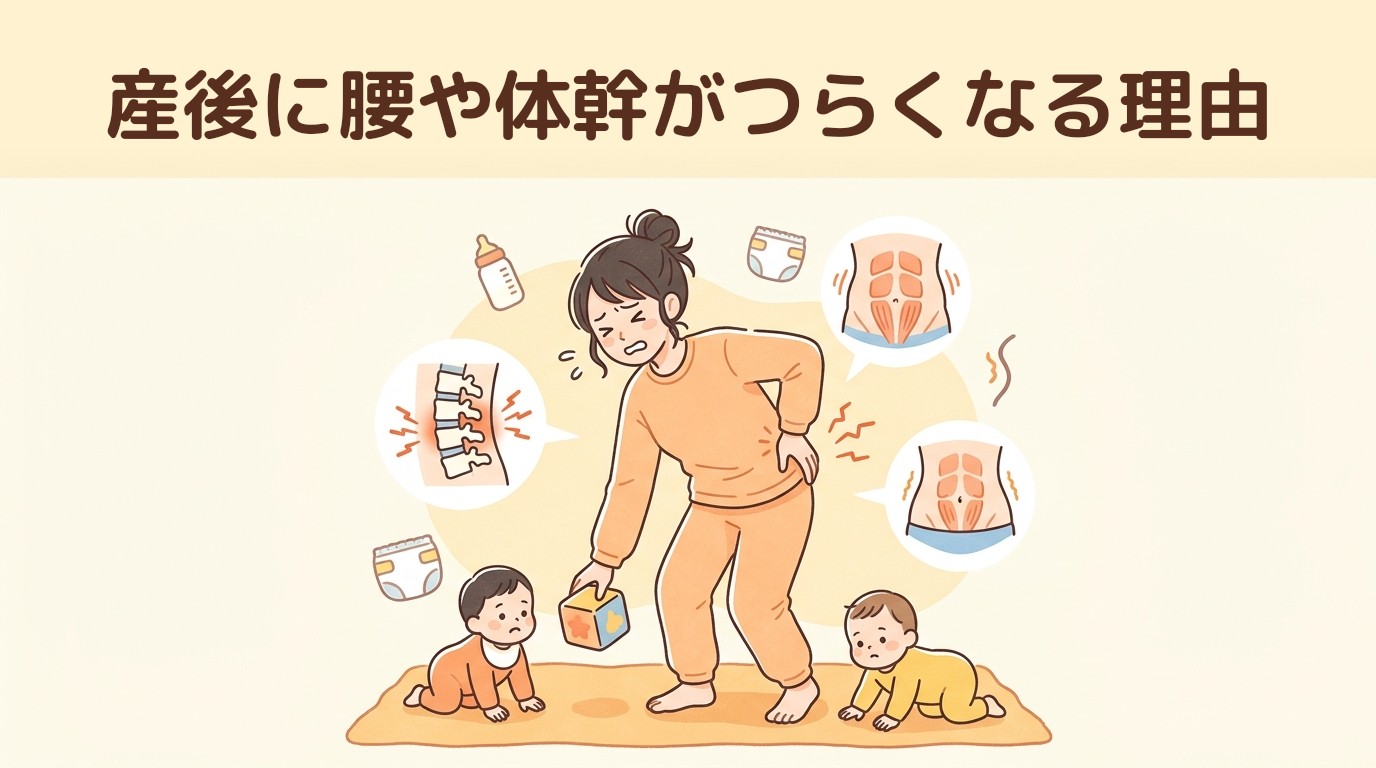 産後に腰や体幹がつらくなる理由