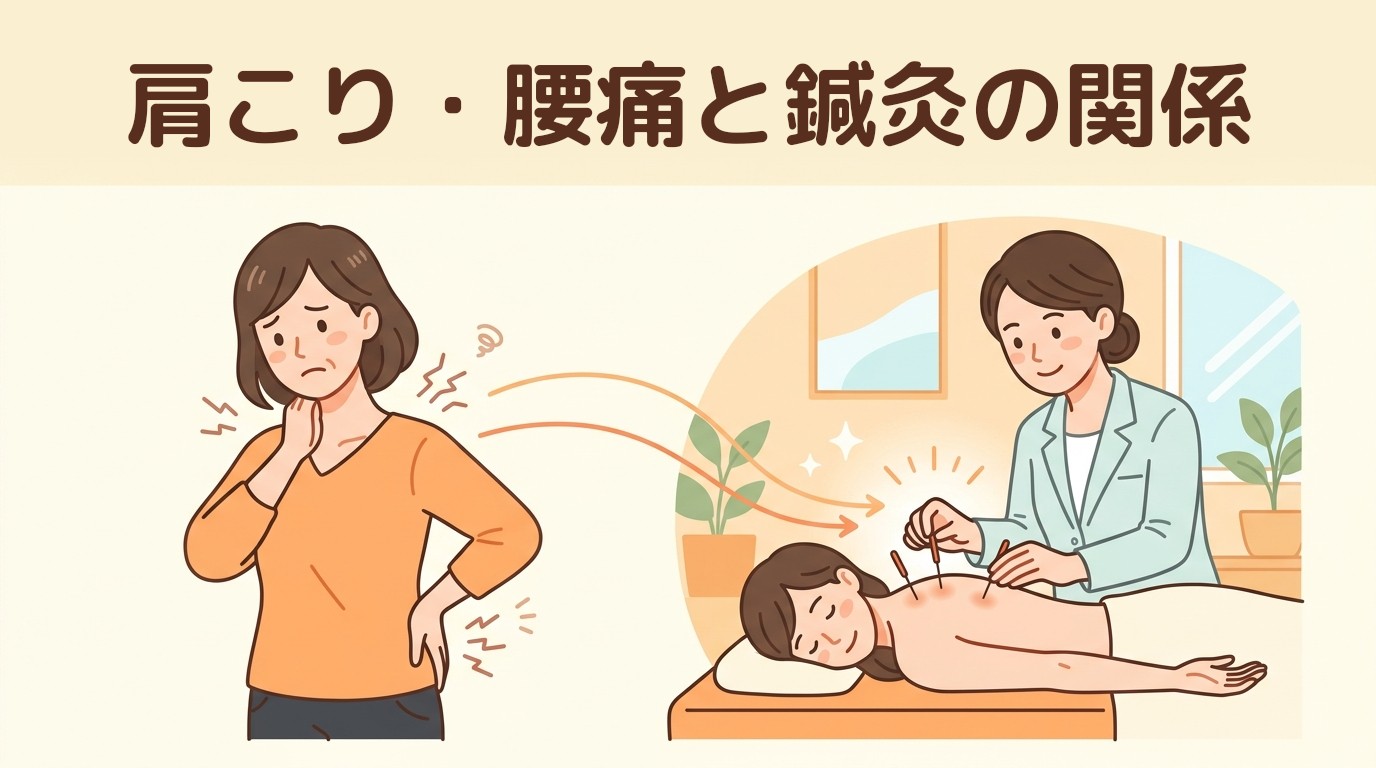 肩こり・腰痛と鍼灸の関係