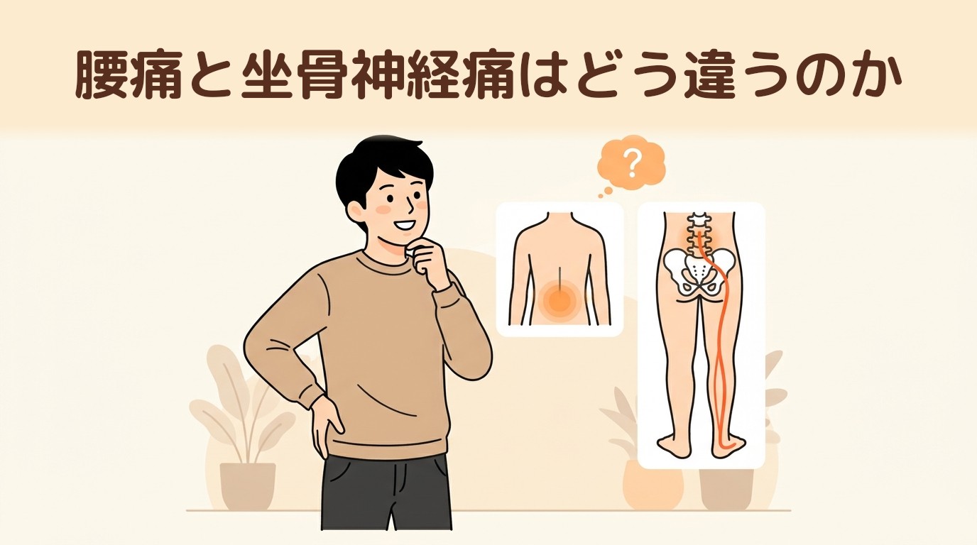 腰痛と坐骨神経痛はどう違うのか
